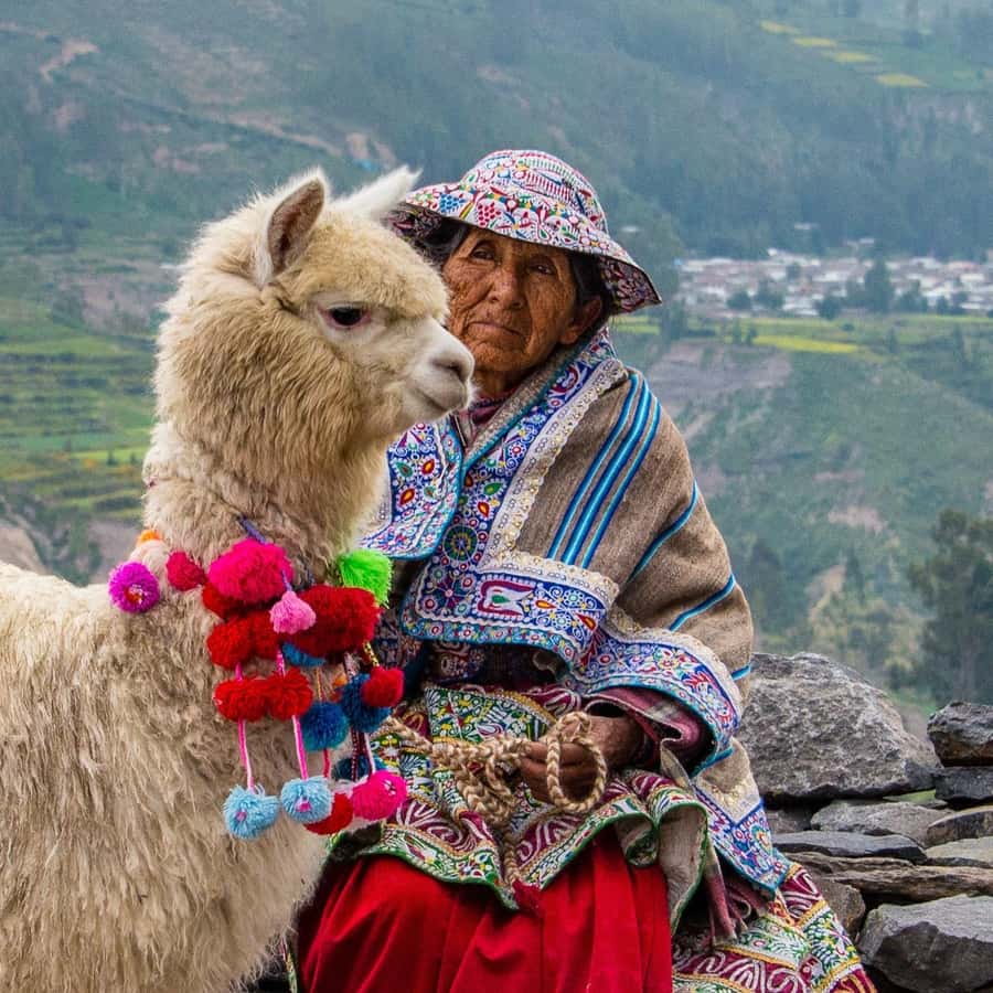 From Puno to Arequipa: 2 Days/1 Night Colca Canyon Tour - Why this route works so well between Puno and Arequipa