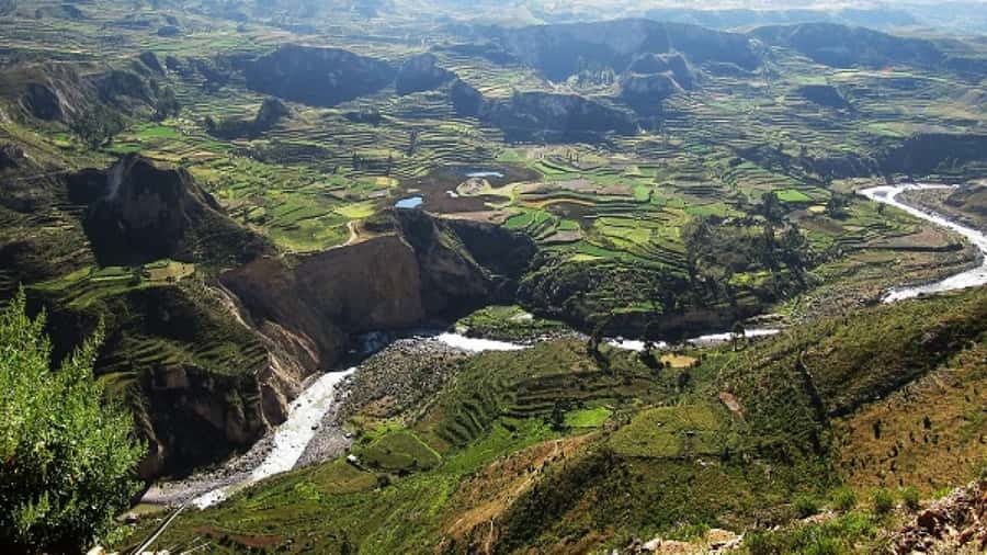From Puno to Arequipa: 2 Days/1 Night Colca Canyon Tour - Viscachanito and the effects of altitude