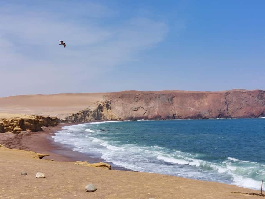 From San Martin Port: Ballestas Island & Paracas Reserve - Starting at San Martin Port before the coast wakes up