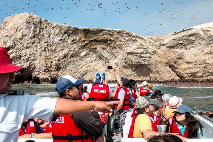 From San Martin Port: Ballestas Island & Paracas Reserve - Paracas National Reserve and the stories beneath the sand