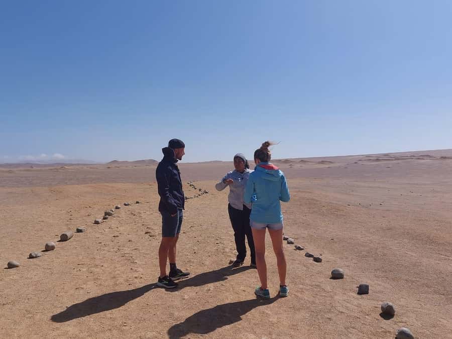 From San Martin Port: Ballestas Island & Paracas Reserve - Should you book the Ballestas and Paracas tour?