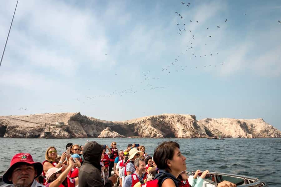 From San Martin Port: Ballestas Island & Paracas Reserve - The Candelabro: a mystery etched into the desert
