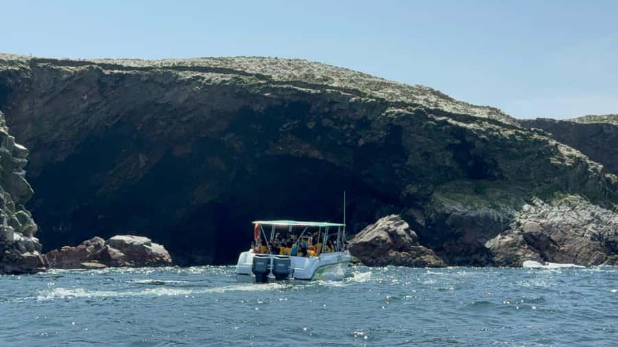From San Martin Port: Ballestas Islands Tour in Paracas - Key points to know before booking