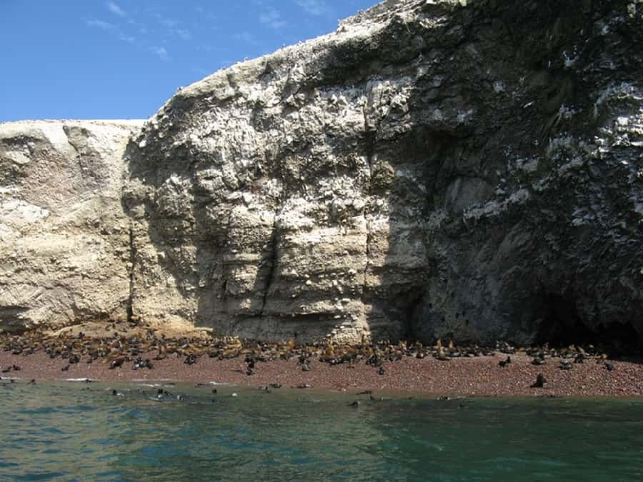 From San Martin Port: Ballestas Islands Tour in Paracas - Returning to the cruise ship