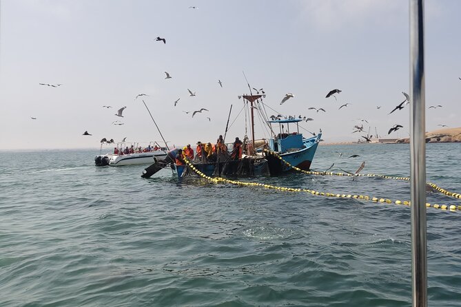 From TPP Pisco: Islands Tours & Paracas Reserve all Inclusive - The Julio C. Tello Museum connects the scenery to ancient Peru