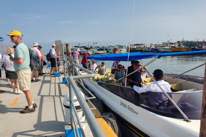 From TPP Pisco: Islands Tours & Paracas Reserve all Inclusive - What the private format changes