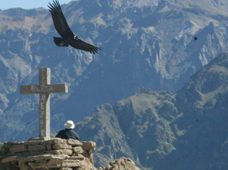 Full-Day Colca Canyon Tour from Arequipa - Why the 3:00 AM departure is necessary