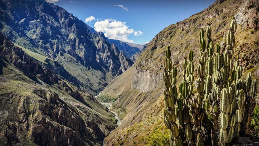 Full-Day Colca Canyon Tour from Arequipa - Choquetico and Antahuilque viewpoints