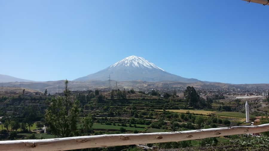 Full-Day Colca Canyon Tour from Arequipa - Pampa Cañahuas and the high-country vicuñas