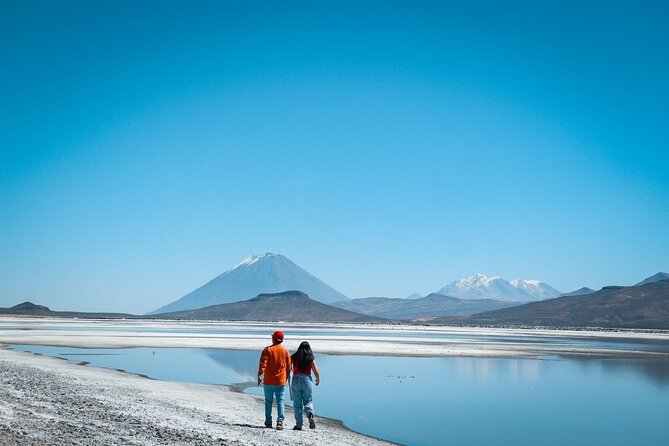 Full-Day Colca Canyon Tour with Lunch - Tocra Wetlands and the Salinas Reserve