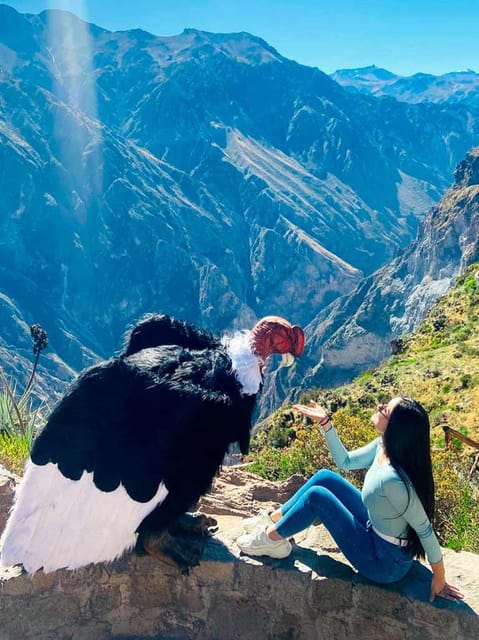 Full day excursion to Colca Canyon - Lunch in Chivay