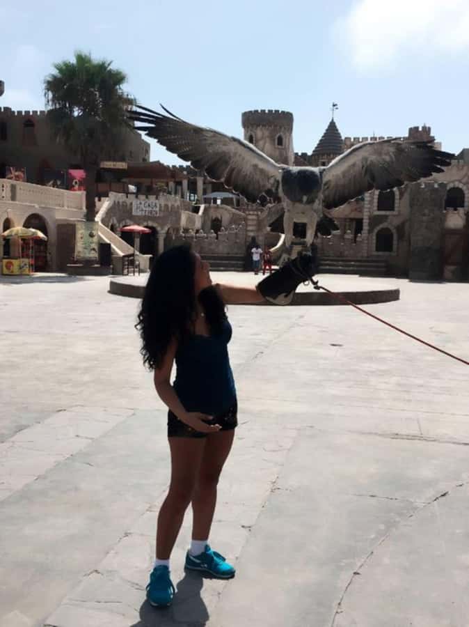 Full-day Huaral-Chancay province tour from Lima - A tasting stop at Velarde Winery