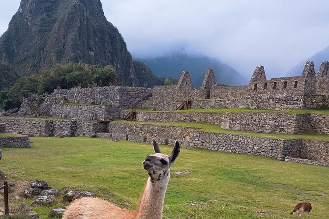 Full Day Machu Picchu from Cusco with Vistadome train - The 4:00 AM start from Cusco