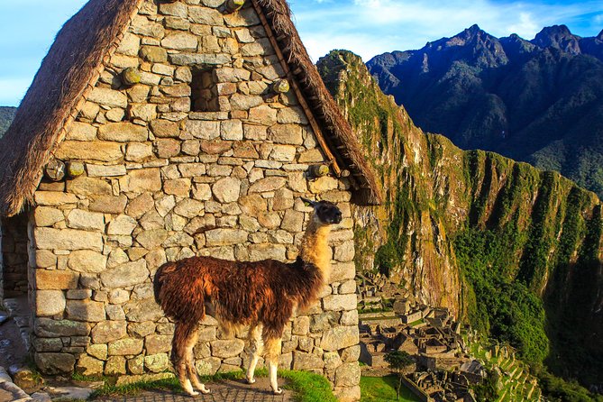 Full Day - Machu Picchu tour by Train - Group Service - Four hours inside the Santuario Historico de Machu Picchu