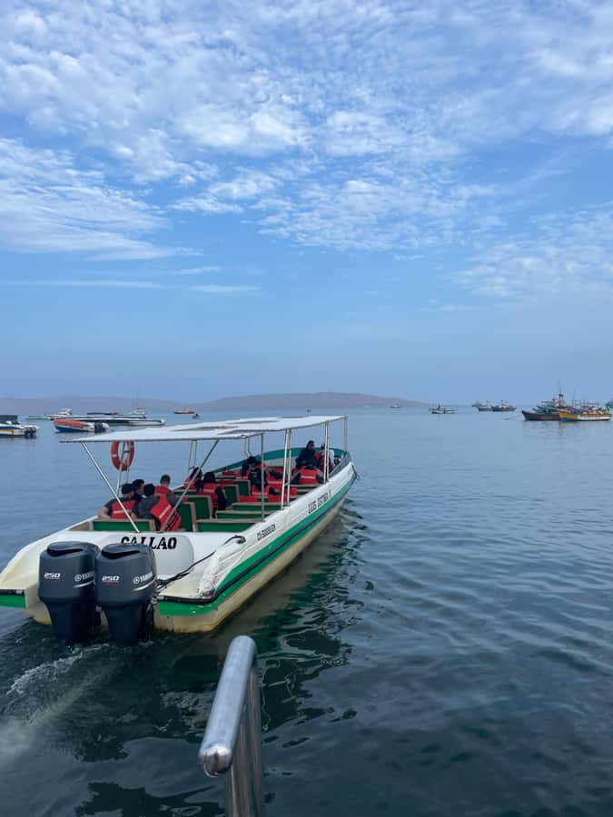 FULL DAY PARACAS - ICA - Why this Paracas and Ica combination works