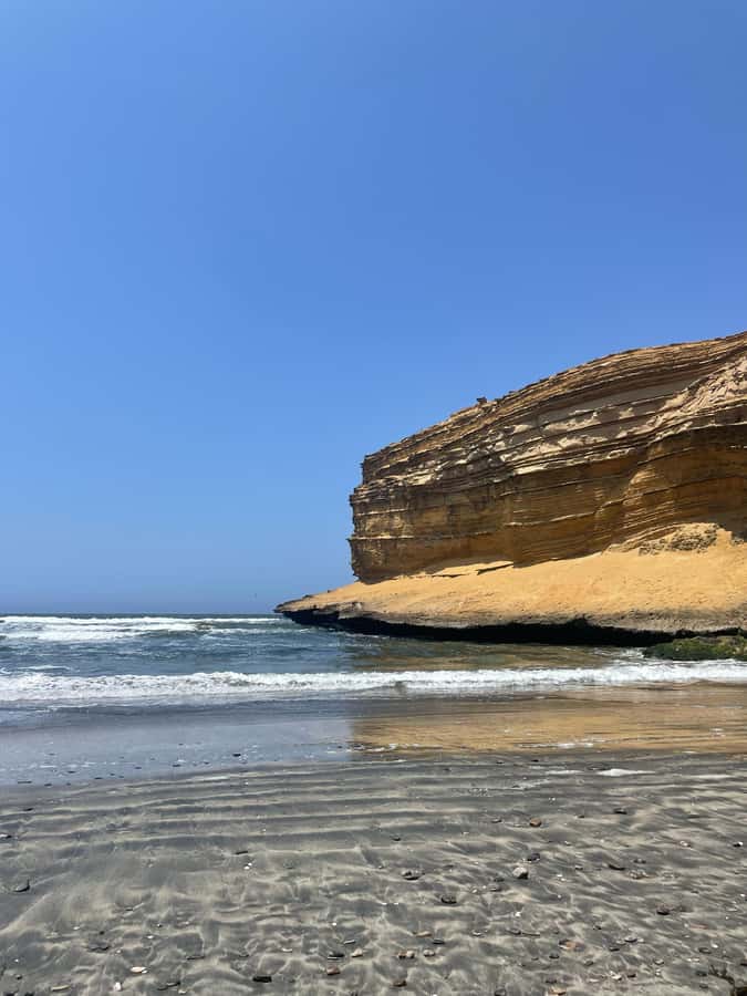FULL DAY PARACAS - ICA - Four hours through the Paracas National Reserve