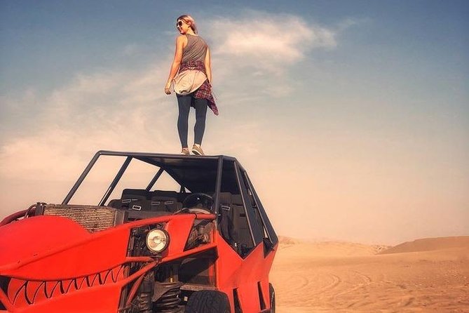 Full Day Paracas Ica and Huacachina from Lima All Included - What the $85 price really covers