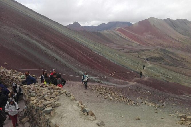 Full-Day Tour and Hike to Rainbow Mountain from Cusco, Peru - Alpacas, llamas, vicuñas, and possible condors