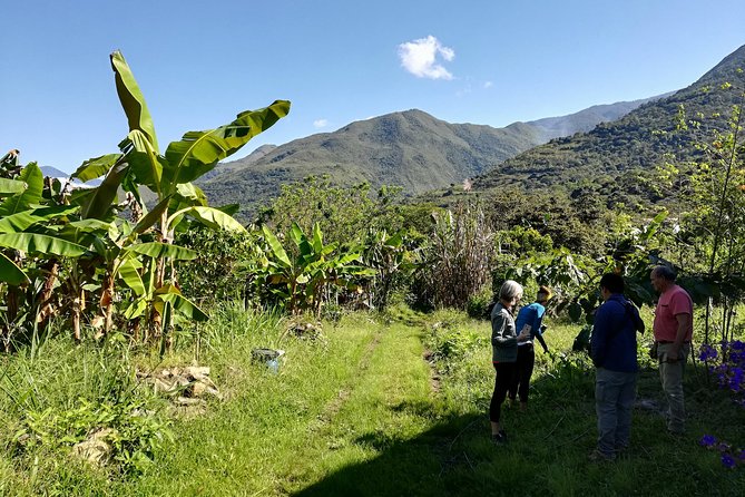 Full-Day Tour: Cacao farm experience in the jungle of Cusco - Key points to know before booking