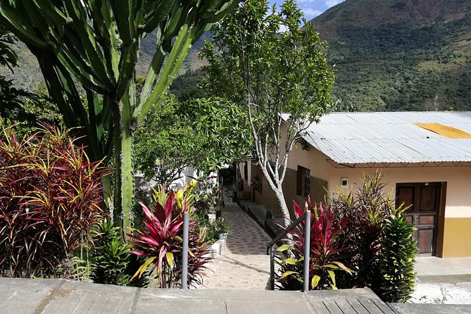 Full-Day Tour: Cacao farm experience in the jungle of Cusco - From a 5:00 a.m. Cusco pickup to the jungle