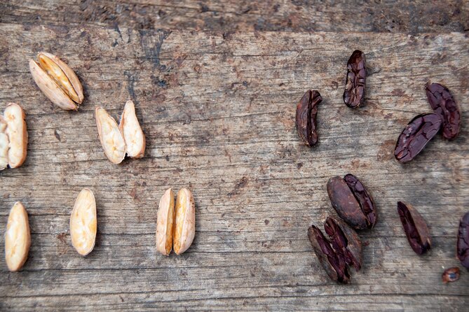 Full-Day Tour: Cacao farm experience in the jungle of Cusco - Making chocolate paste and hot chocolate