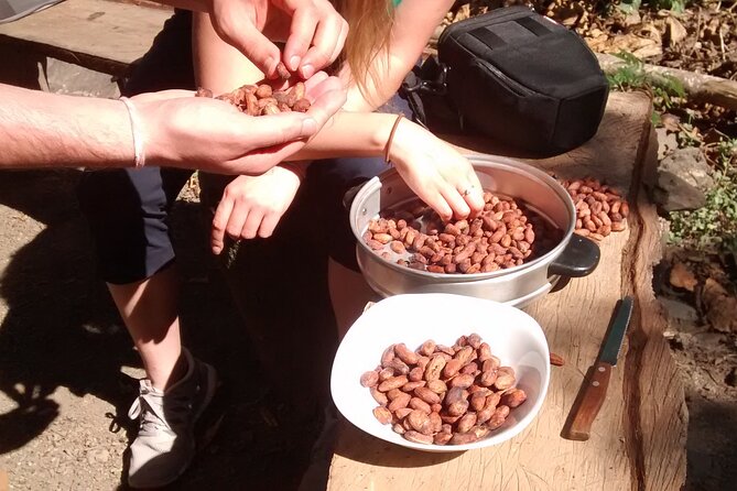Full-Day Tour: Cacao farm experience in the jungle of Cusco - What the $242 price includes