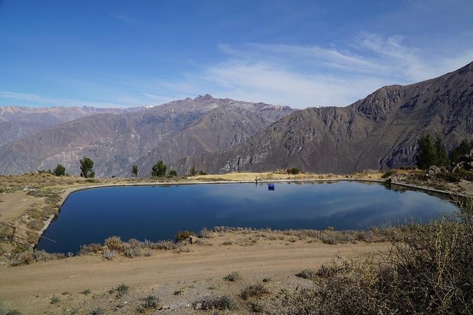 Full Day Tour / Colca Canyon - Lunch and the Real Cost of the Tour