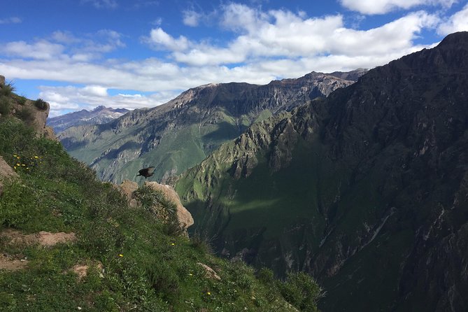 Full Day Tour / Colca Canyon - Breakfast in Chivay: Included, but Very Modest