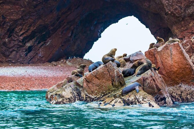 Full Day Tour From Lima: Paracas and Huacachina Oasis - The day in four important points