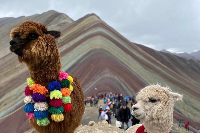 Full Day Tour in ATV by Montana 7 Colores Cusco - How the $80 price holds up