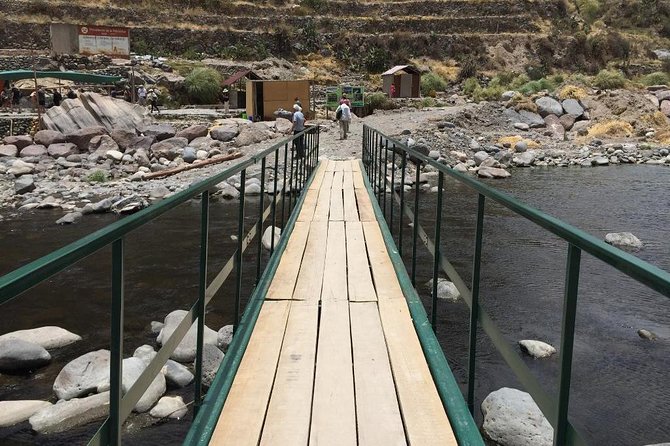 Full Day Tour Including Transfer to Puno / Colca Canyon - Colca Canyon, plants, birds, and high peaks