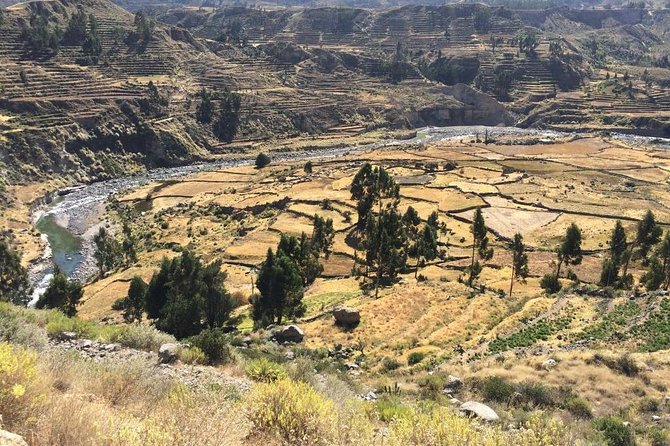 Full Day Tour Including Transfer to Puno / Colca Canyon - The long ride to Puno through Salinas y Aguada Blanca