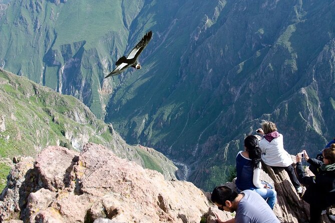 Full Day Tour to Colca from Arequipa - Five things to know before booking