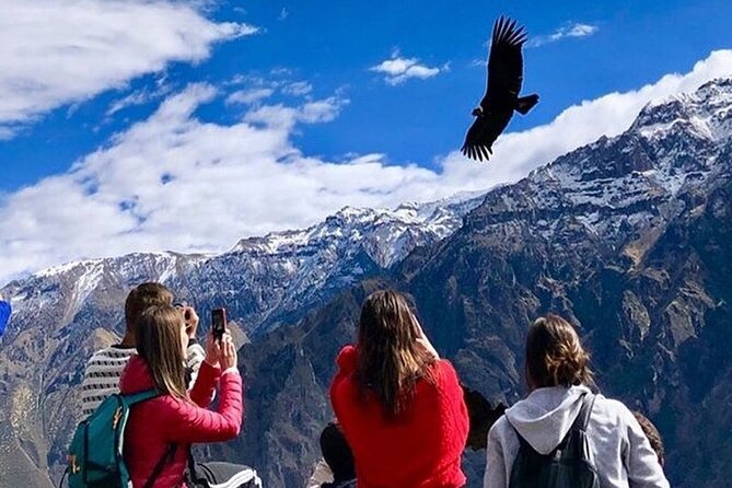 Full Day Tour to Colca from Arequipa - Cruz del Cóndor and the best hour of the day