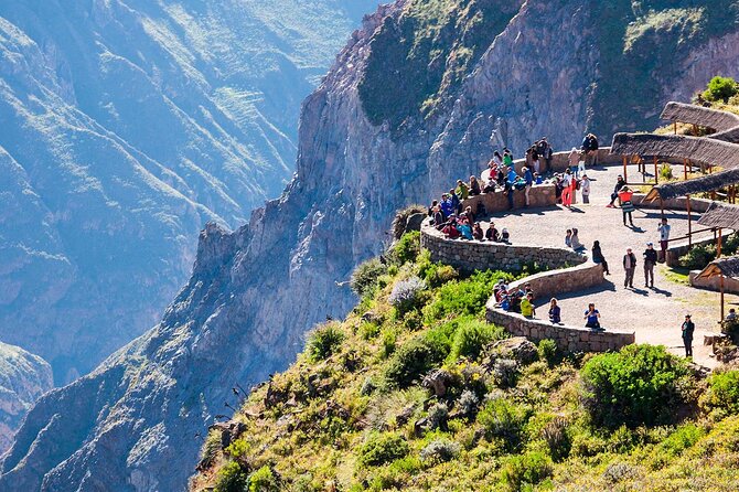 Full Day Tour to Colca including Transfer to Puno - Cruz del Condor and the chance to see Peru’s great birds
