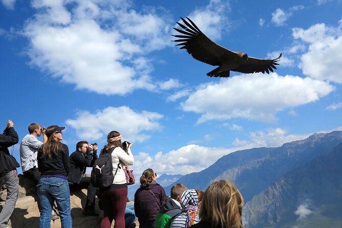 Full Day Tour to Colca including Transfer to Puno - Antahuilque and the old terraces