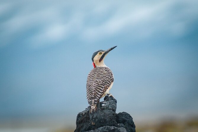 Full Day Tour to Salinas and Aguada Blanca National Reserve - Entering Salinas and Aguada Blanca National Reserve