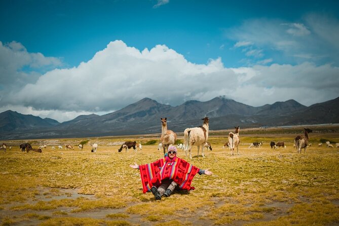Full Day Tour to Salinas and Aguada Blanca National Reserve - Transport, group size, and the pace of the day