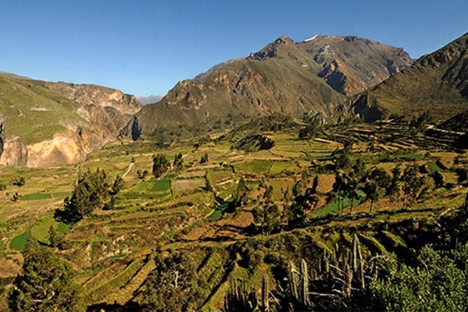 Full Day Tour to the Colca Canyon - The condor viewpoint is the emotional center of the trip