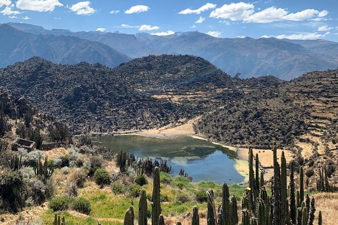 Full Day Tour to the Colca Canyon - Chacapi hot springs are an optional way to unwind