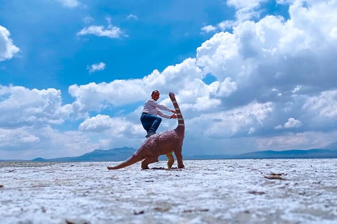 Full Day Tour To The Salt Lake Salinas in Arequipa - Why the Salinas salt flats make a fine day trip from Arequipa