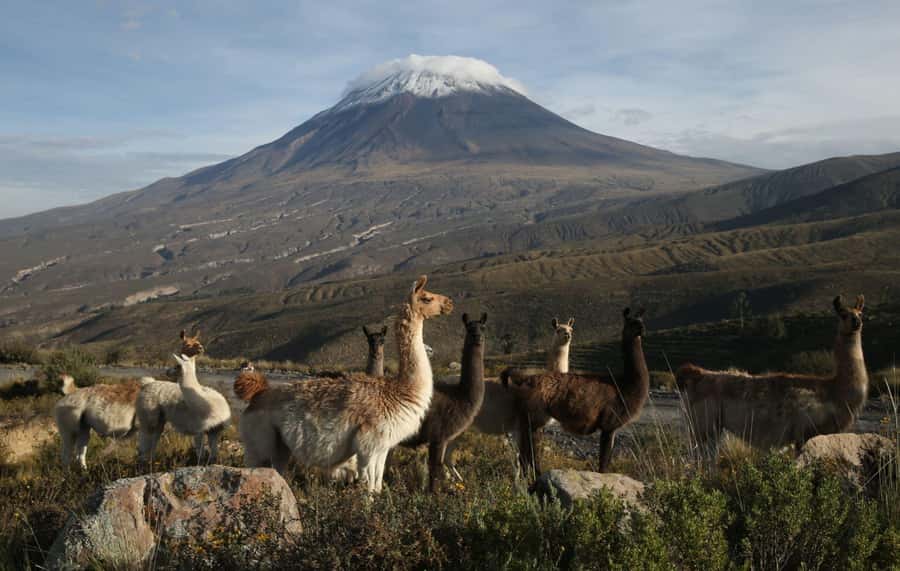 FULL-DAY TOURS TO THE COLCA CANYON WITH BREAKFAST - Why this route works for a first Colca visit
