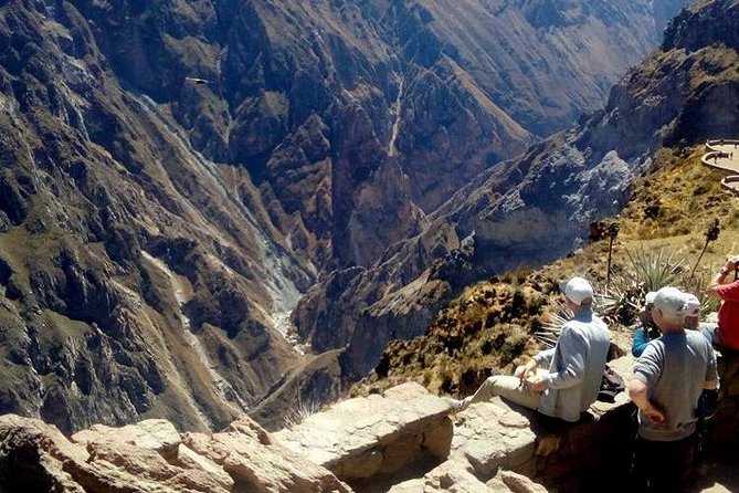 Full Day Trip to Colca Canyon from Arequipa - Wildlife in Salinas y Aguada Blanca