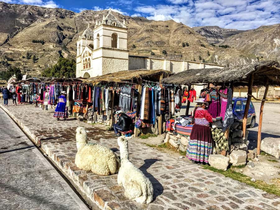 Full Day Trip to Colca Canyon from Arequipa ending in Puno - Hot springs for about 40 to 45 minutes