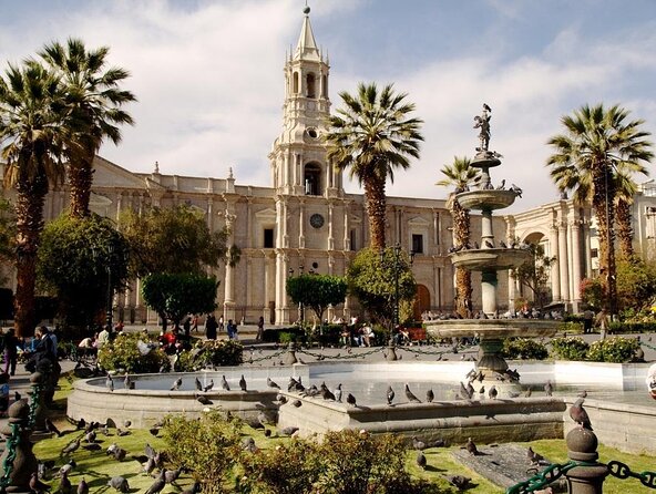 Golden hour, legends of Arequipa and Peruvian Coffee - Key points to know before booking