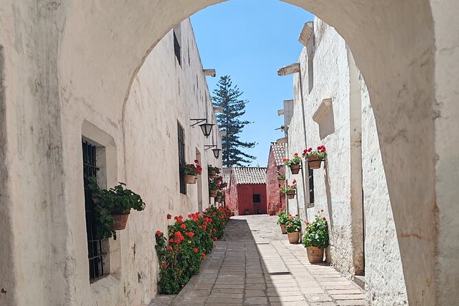 Guided tour of the city of Arequipa in private service - Mundo Alpaca, with llamas and fiber products