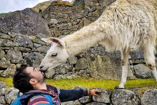Guided Tour to Colca Canyon with Transportation and Breakfast - Colca Canyon and the search for condors