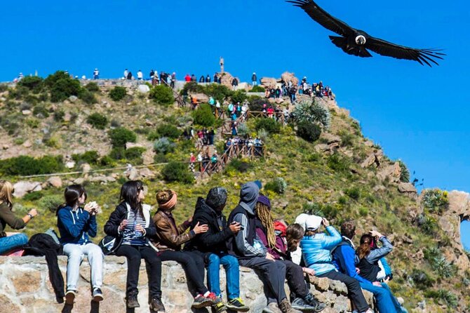 Guided Tour to Colca Canyon with Transportation and Breakfast - Lunch back in Chivay