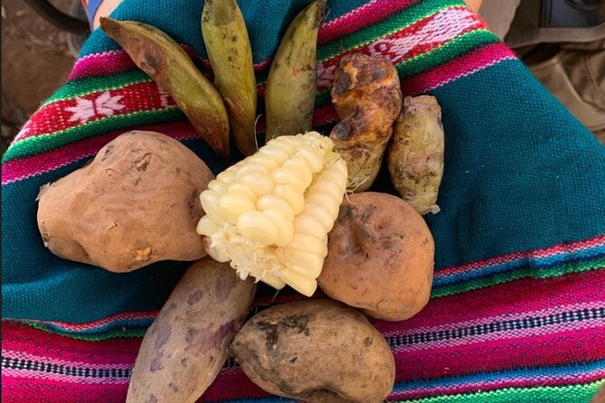 Half Day Andean Llama Trek in the Sacred Valley - Key points to know before you go