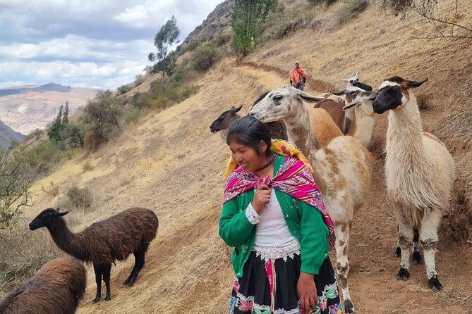Half Day Andean Llama Trek in the Sacred Valley - The 40-minute climb into the mountains